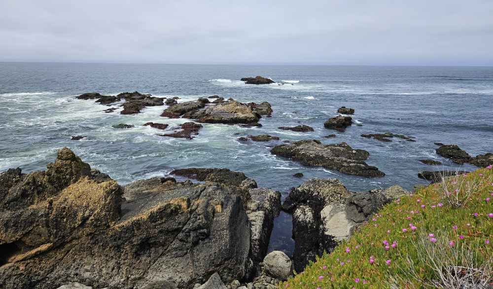pigeon point view.jpg