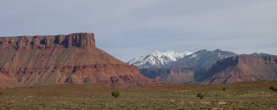 the snow persists.jpg