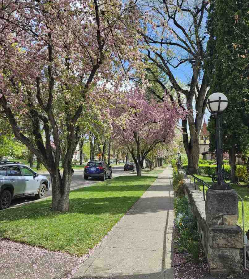 durango streetscape 2.jpg